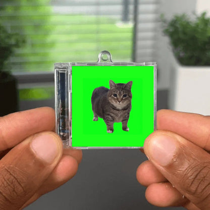 OIIA OIIA (Spinning Cat) Albumtag