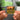 Parachute NFC Keychain