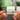 &quot;11 Bagatelles, Op. 119 & Other Piano Works&quot; Albumtag