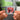 Sin Miedo a Vivir NFC Keychain