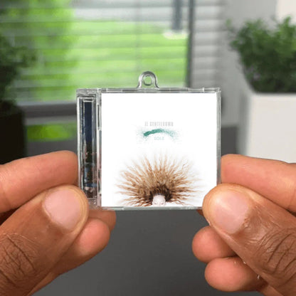 Sole Albumtag