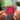 THE WORLD EP.FIN : WILL NFC Keychain