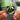 two NFC Keychain